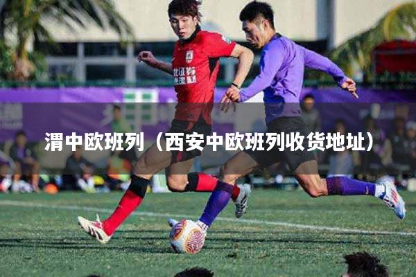 详细阅读:渭中欧班列(西安中欧班列收货地址) 渭中欧班列(西安中欧班列收货地址)