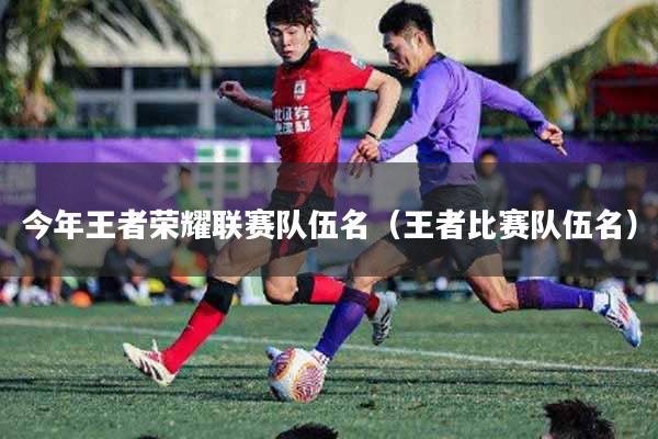 今年王者荣耀联赛队伍名（王者比赛队伍名）