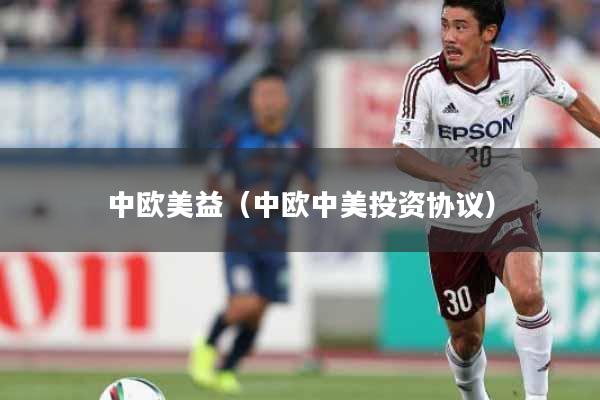 中欧美益（中欧中美投资协议）